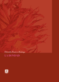 La bondad - Drusila Torres Zúñiga - ebook
