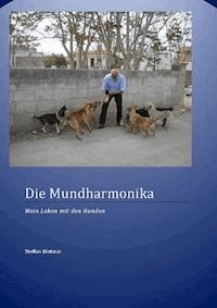 Die Mundharmonika - Dietmar Steffan - ebook