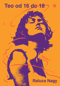 Teo od 16 do 18 - Raluca Nagy - książka