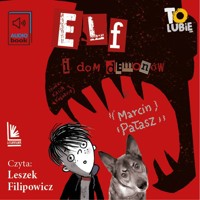Elf i dom demonów - Marcin Pałasz - ebook + audiobook + książka