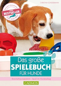 Das große Spielebuch für Hunde - Christina Sondermann - ebook
