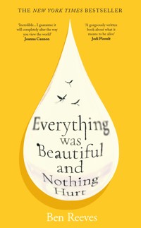 Everything was Beautiful and Nothing Hurt - Ben Reeves - ebook