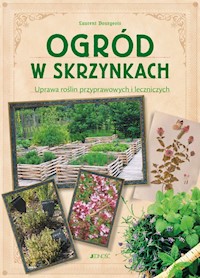 Ogród w skrzynkach Uprawa roślin przyprawowych i leczniczych - Bourgeois Laurent - książka