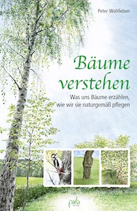 Bäume verstehen - Peter Wohlleben - ebook