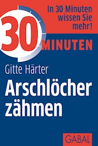 30 Minuten Arschlöcher zähmen - Gitte Härter - ebook