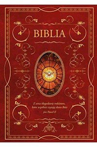 Biblia domowa z obwolutą Duch Święty -  - książka
