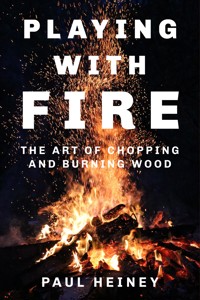 Playing with Fire - Paul Heiney - ebook