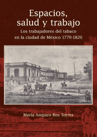Espacios, salud y trabajo - María Amparo Ros Torres - ebook