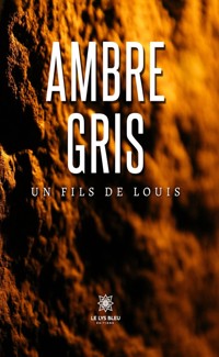 Ambre gris - Un Fils de Louis - ebook