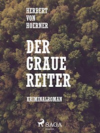 Der graue Reiter - Herbert von Hoerner - ebook