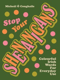 STOP YOUR SHENANIGANS - Micheál Ó Conghaile - ebook