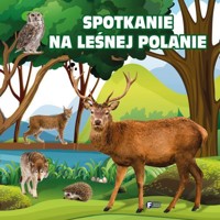 Spotkanie na leśnej polanie FENIX - zbiorowa praca - książka