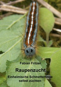 Raupenzucht - Fabian Fritzer - ebook