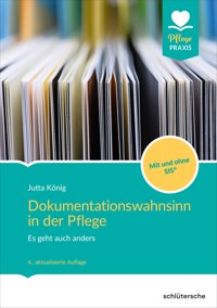 Dokumentationswahnsinn in der Pflege -  - ebook