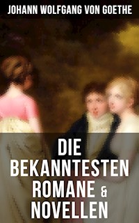 Die bekanntesten Romane & Novellen - Johann Wolfgang von Goethe - ebook