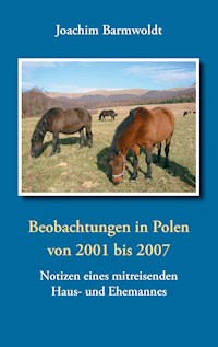 Beobachtungen in Polen - Joachim Barmwoldt - ebook