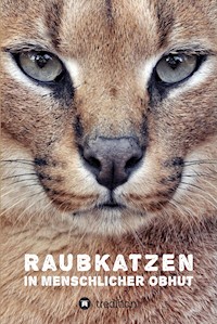 Raubkatzen in menschlicher Obhut - Katerina Mirus - ebook