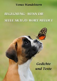 Begegnung - wenn die Seele sich zu Wort meldet - Venus Wandelstern - ebook