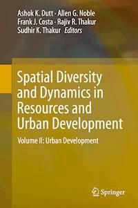 Spatial Diversity and Dynamics in Resources and Urban Development -  - ebook