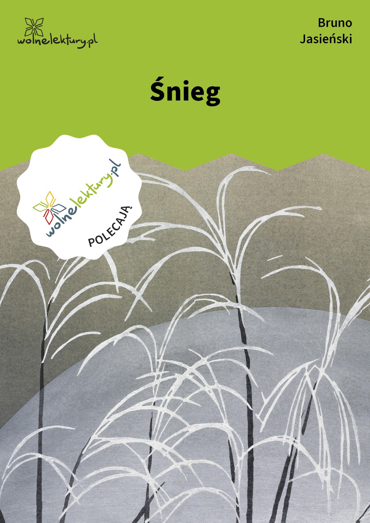 Śnieg
