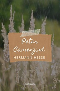 Peter Camenzind - Hermann Hesse - ebook