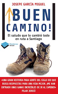 ¡Buen camino! - Josepe García Miguel - ebook