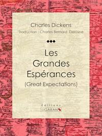 Les Grandes Espérances - Ligaran - ebook