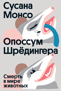 Опоссум Шредингера - Сусана Монсо - ebook
