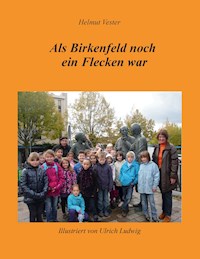 Als Birkenfeld noch ein Flecken war - Helmut Vester - ebook