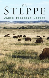 Die Steppe - James Fenimore Cooper - ebook