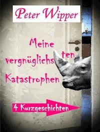 Meine vergnüglichsten Katastrophen - Peter Wipper - ebook