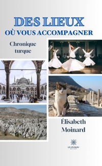 Des lieux où vous accompagner - Élisabeth Moinard - ebook