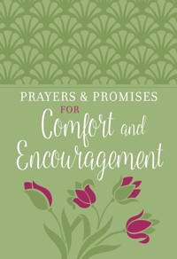 Prayers & Promises for Comfort and Encouragement - BroadStreet Publishing Group LLC - ebook
