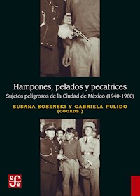 Hampones, pelados y pecatrices - Susana Sosenski - ebook