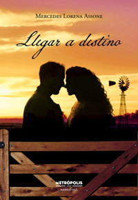 Llegar a destino - Mercedes Lorena Assone - ebook