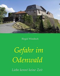 Gefahr im Odenwald - Birgid Windisch - ebook