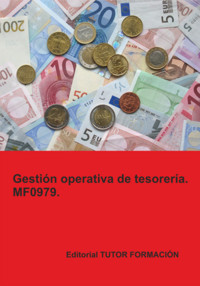 Gestión Operativa De Tesorería. Mf0979. - Carmen Arenal Laza - ebook