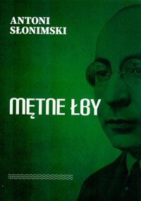 Mętne łby - Antoni Słonimski - książka