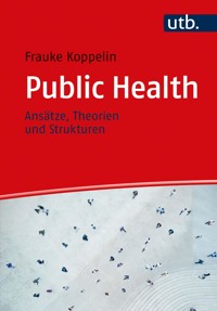 Public Health - Frauke Koppelin - ebook