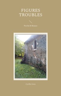 Figures troubles - Cyrille Gove - ebook