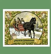 Jenny und das Weihnachtswunder - Hans-Jürgen Luesmann - ebook