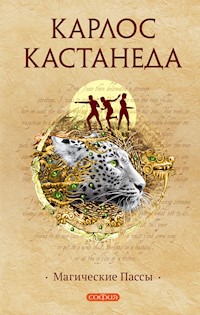 Магические пассы - Карлос Кастанеда - ebook