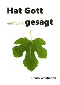 Hat Gott wirklich? gesagt - Heino Weidmann - ebook