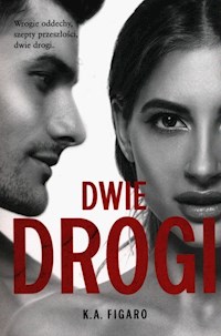 Rozchwiani Tom 4 Dwie drogi Rozchwiani - K.A.Figaro - książka