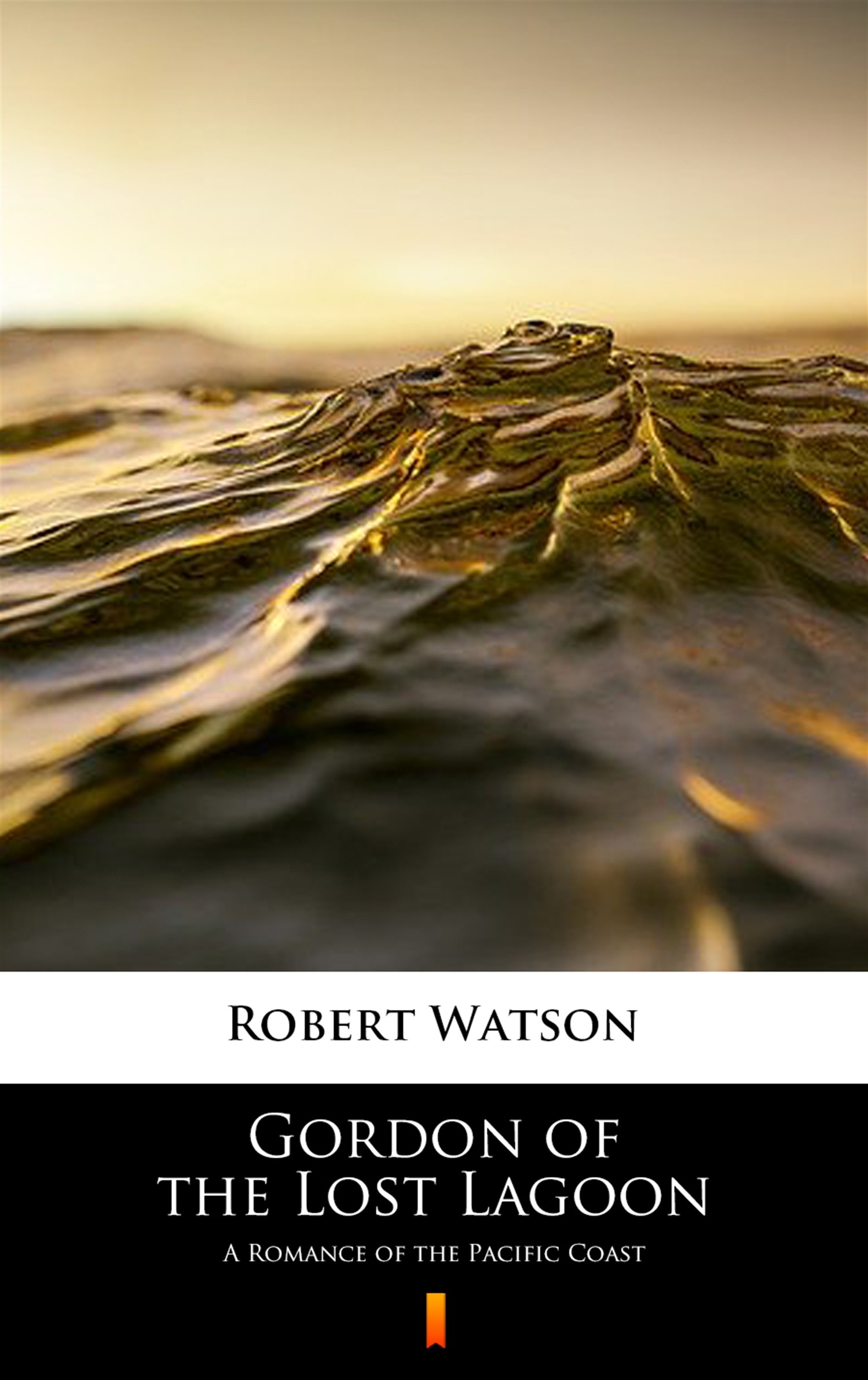 Okładka:Gordon of the Lost Lagoon. A Romance of the Pacific Coast 