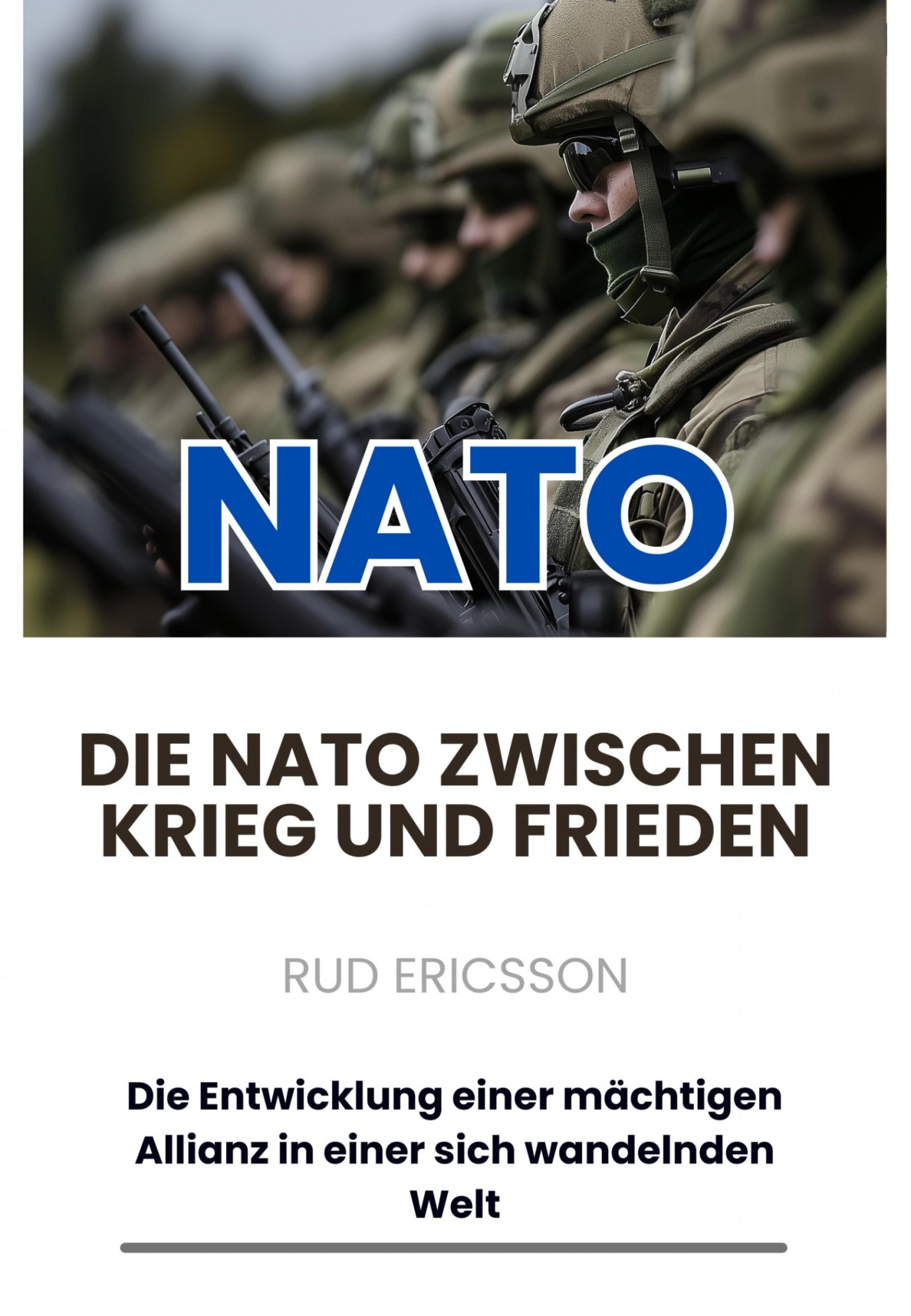 Die NATO zwischen Krieg und Frieden