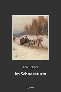 Im Schneesturm - Lew Tolstoi - ebook
