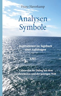 Analysen - Symbole 6305 - Franz Haverkamp - ebook