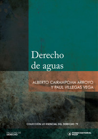 Derecho de aguas - Alberto Cairampoma Arroyo - ebook