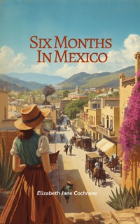 Six Months In Mexico - Elizabeth Jane Cochrane - ebook